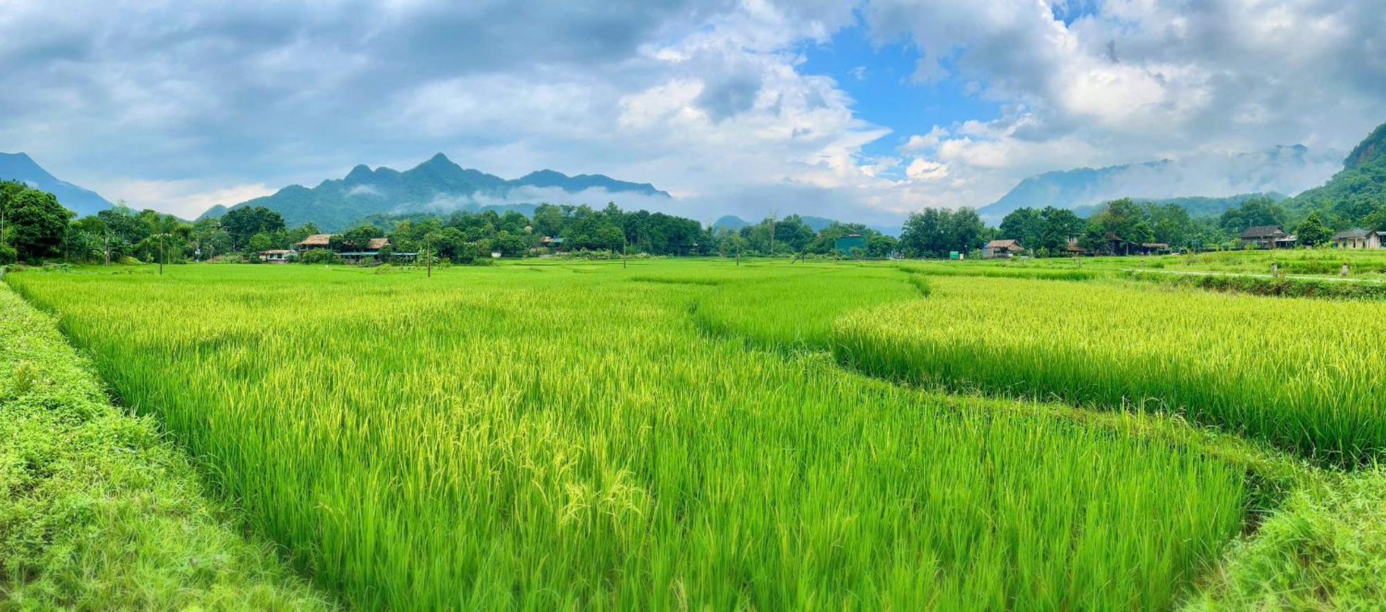 Mai Chau Sky Resort Exteriör bild
