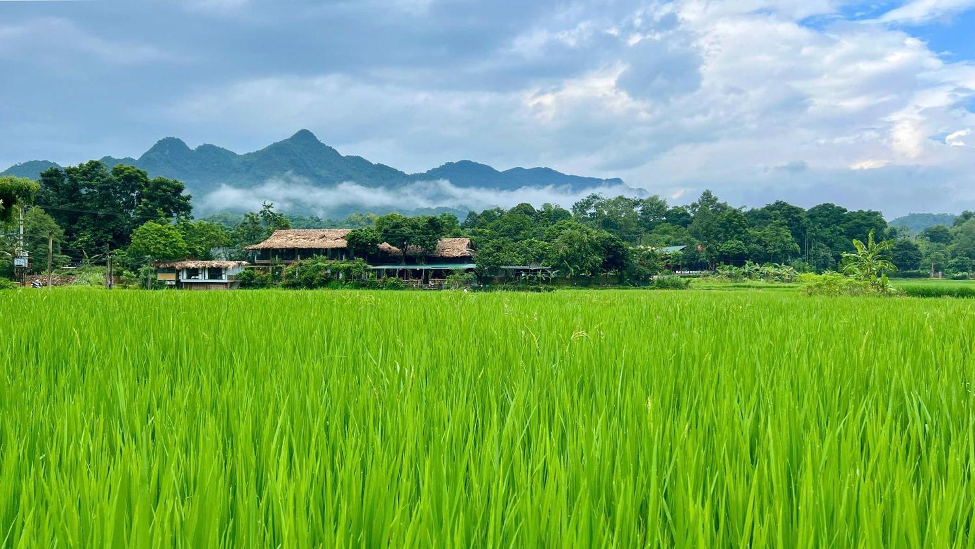 Mai Chau Sky Resort Exteriör bild